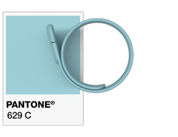 Pantone® References USB Wristband